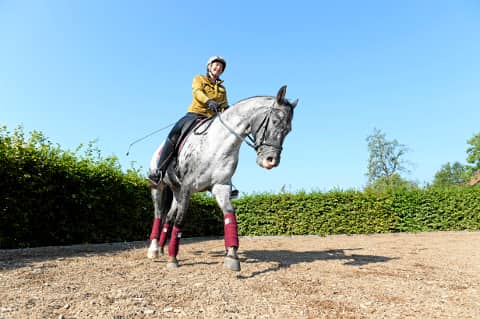 CAVALLO: Schwung durch Volten CAVALLO: Schwung durch Volten