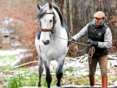 Bodenarbeit im Gelände mit Stefan Schneider Video