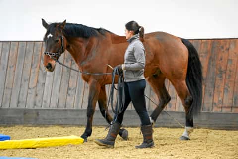 CAV Equikinetic Video