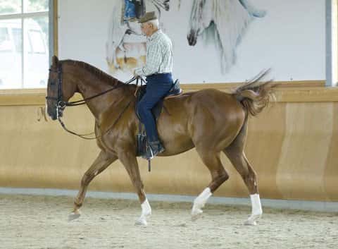 Klassik-Ausbilder Jean-Claude Racinet Klassik-Ausbilder Jean-Claude Racinet